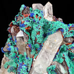 Close Up of Specimen