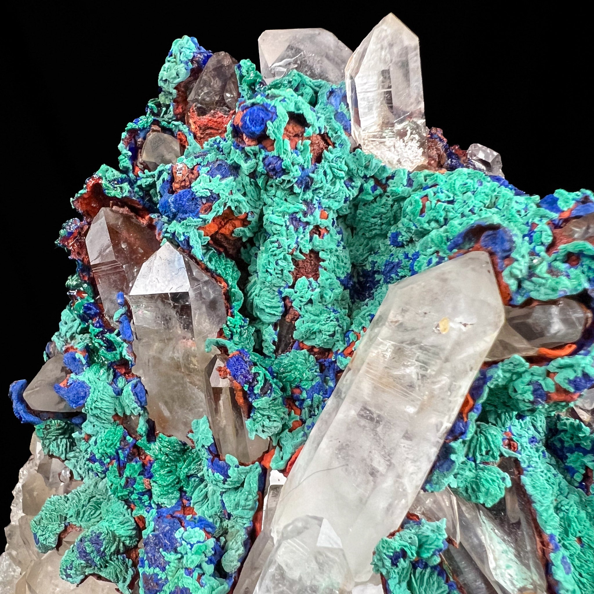 Close Up of Specimen