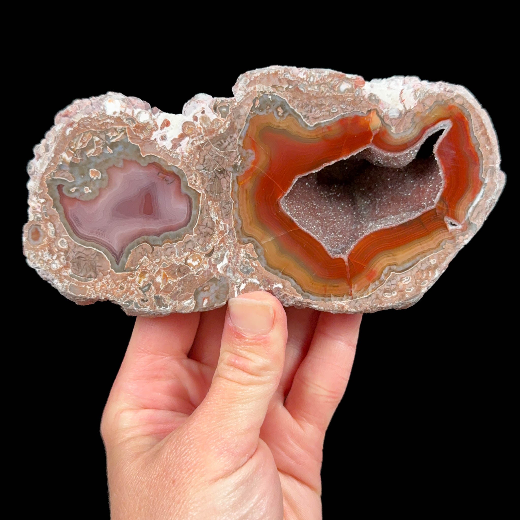 Thunderegg from Luna County, New Mexico, USA