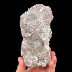 Exterior of Baker Egg Thunderegg geode