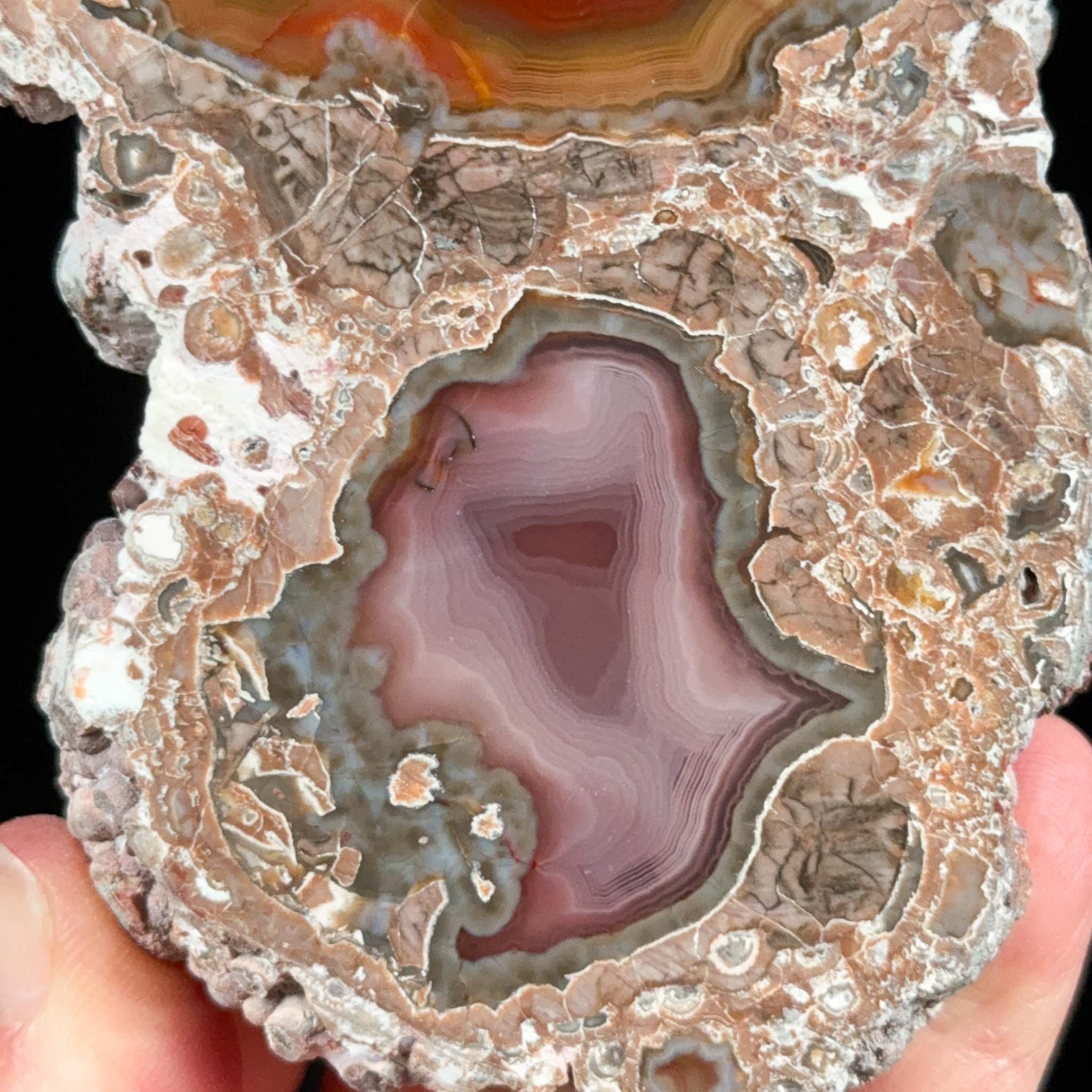 Close up of agate bands inside a New Mexico thunderegg