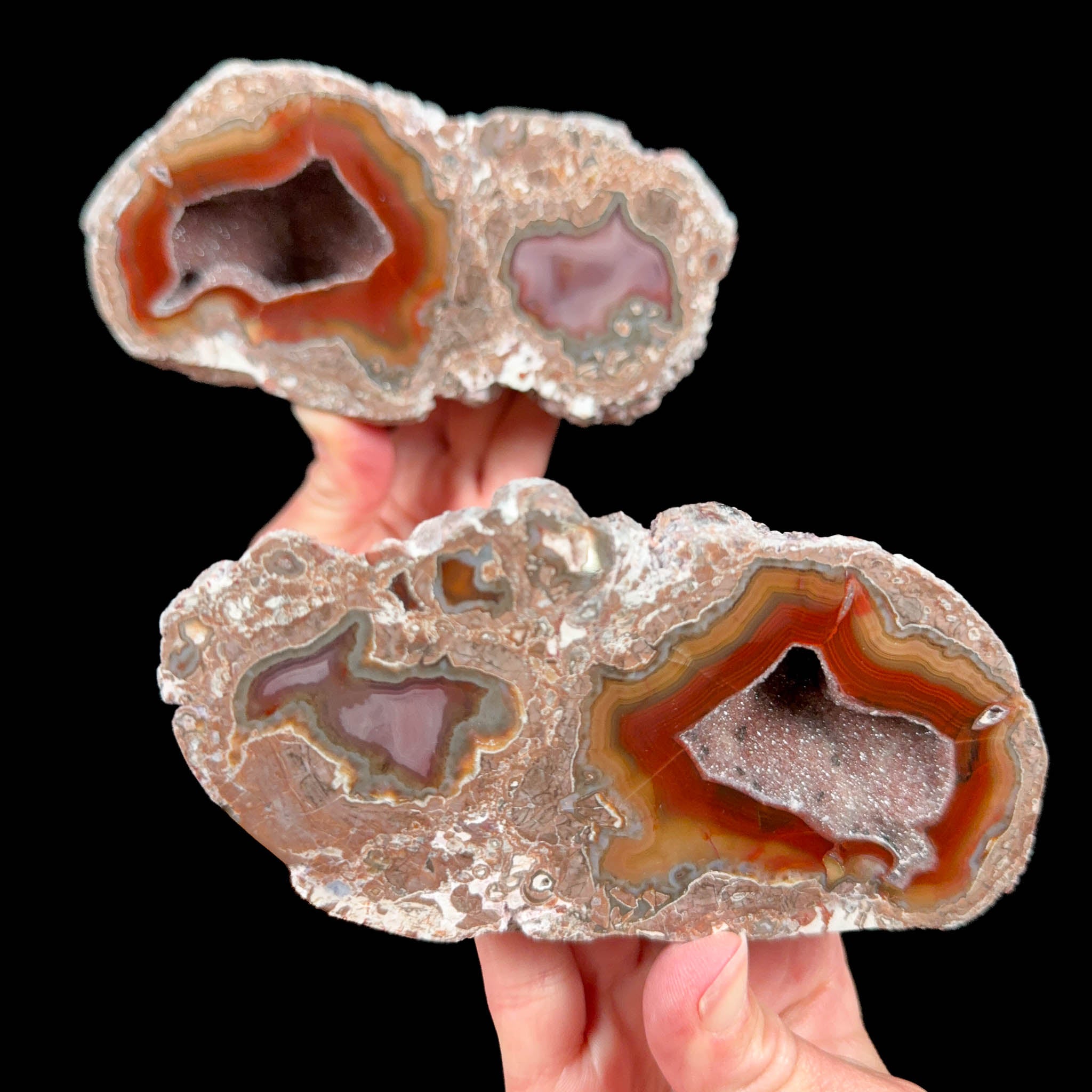 Pair of thunderegg geodes from New Mexico