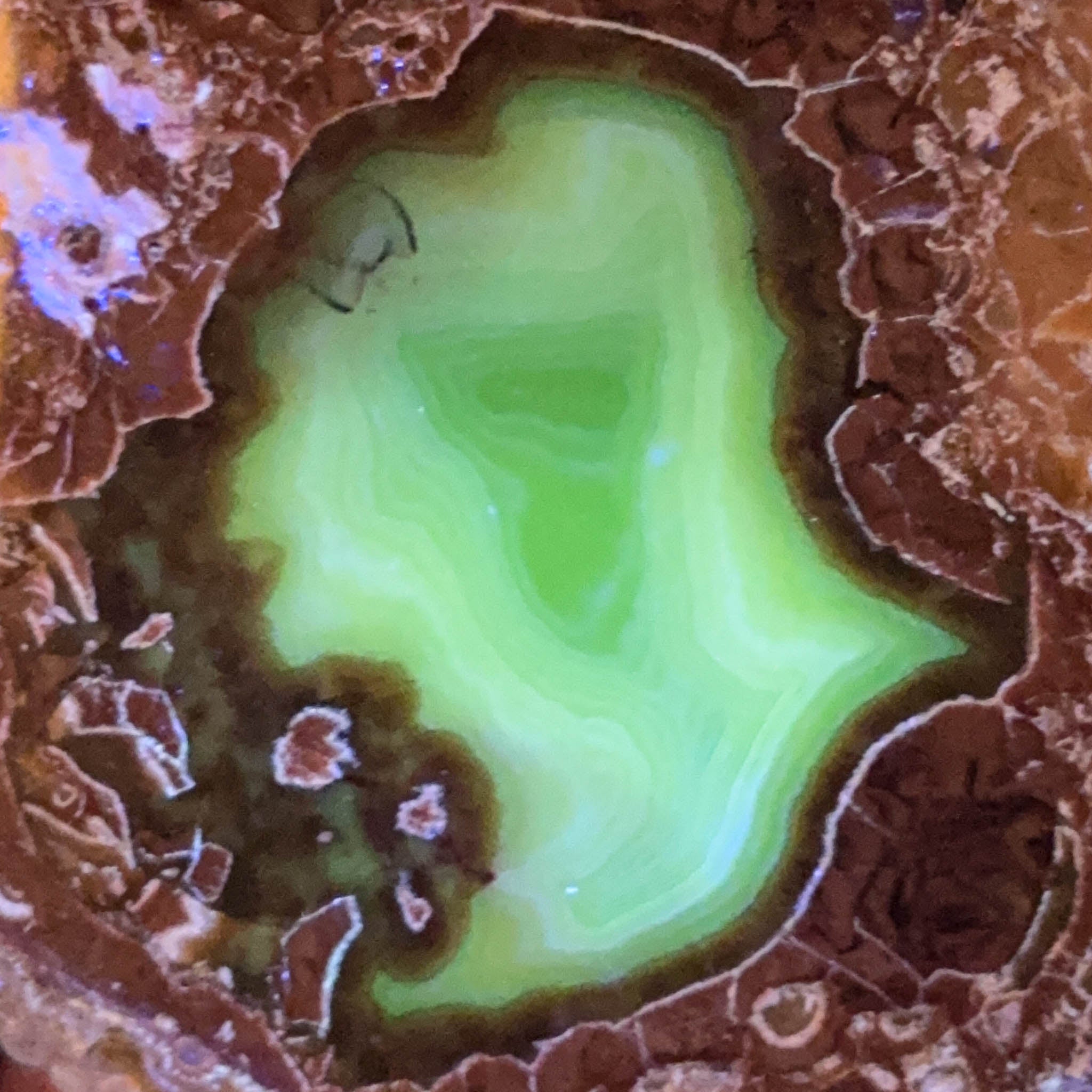 Close up of UV fluorescent Baker Egg 
