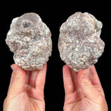 Exterior of Baker Egg Pair from New Mexico