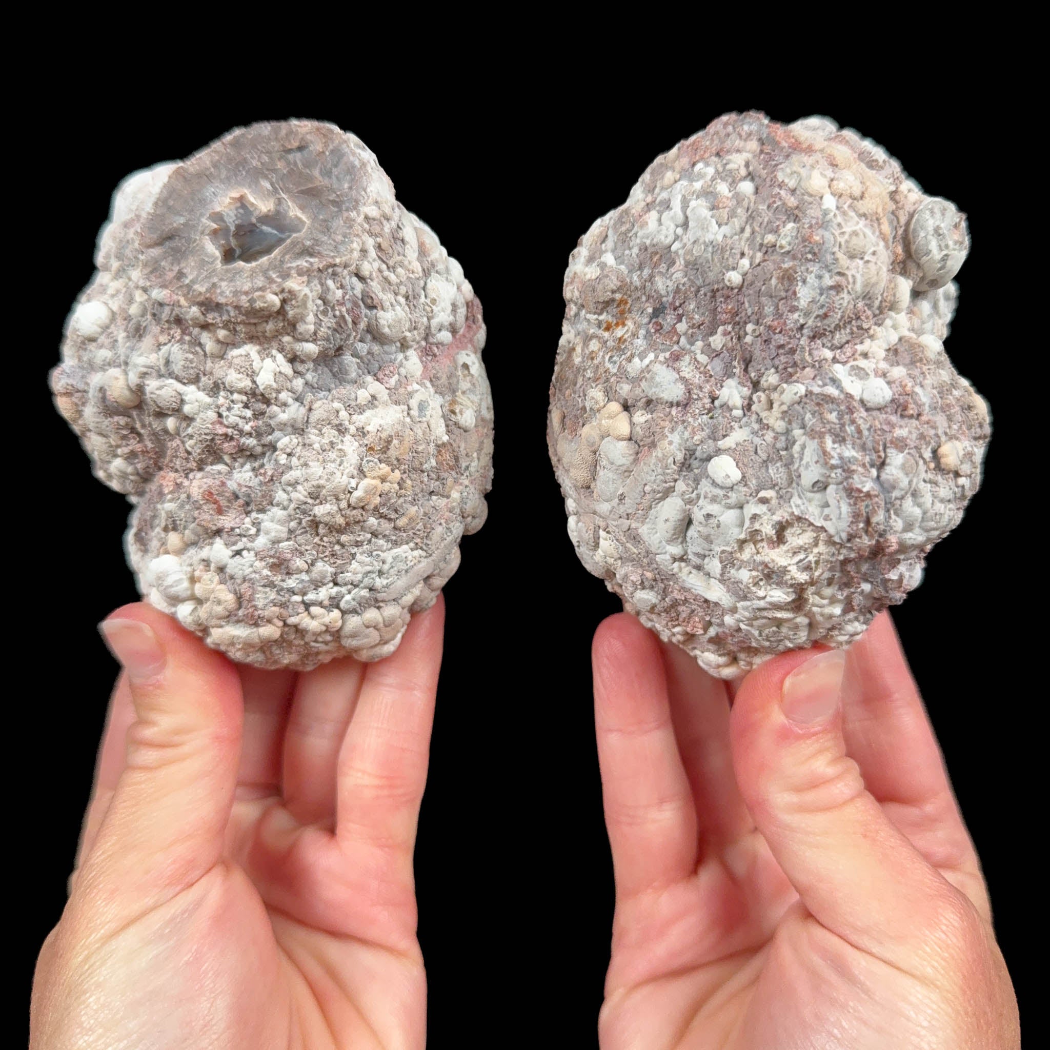 Exterior of Baker Egg Pair from New Mexico