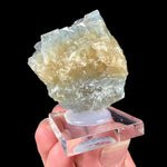 Blue and yellow Barite crystal - Hartsel, Colorado, USA