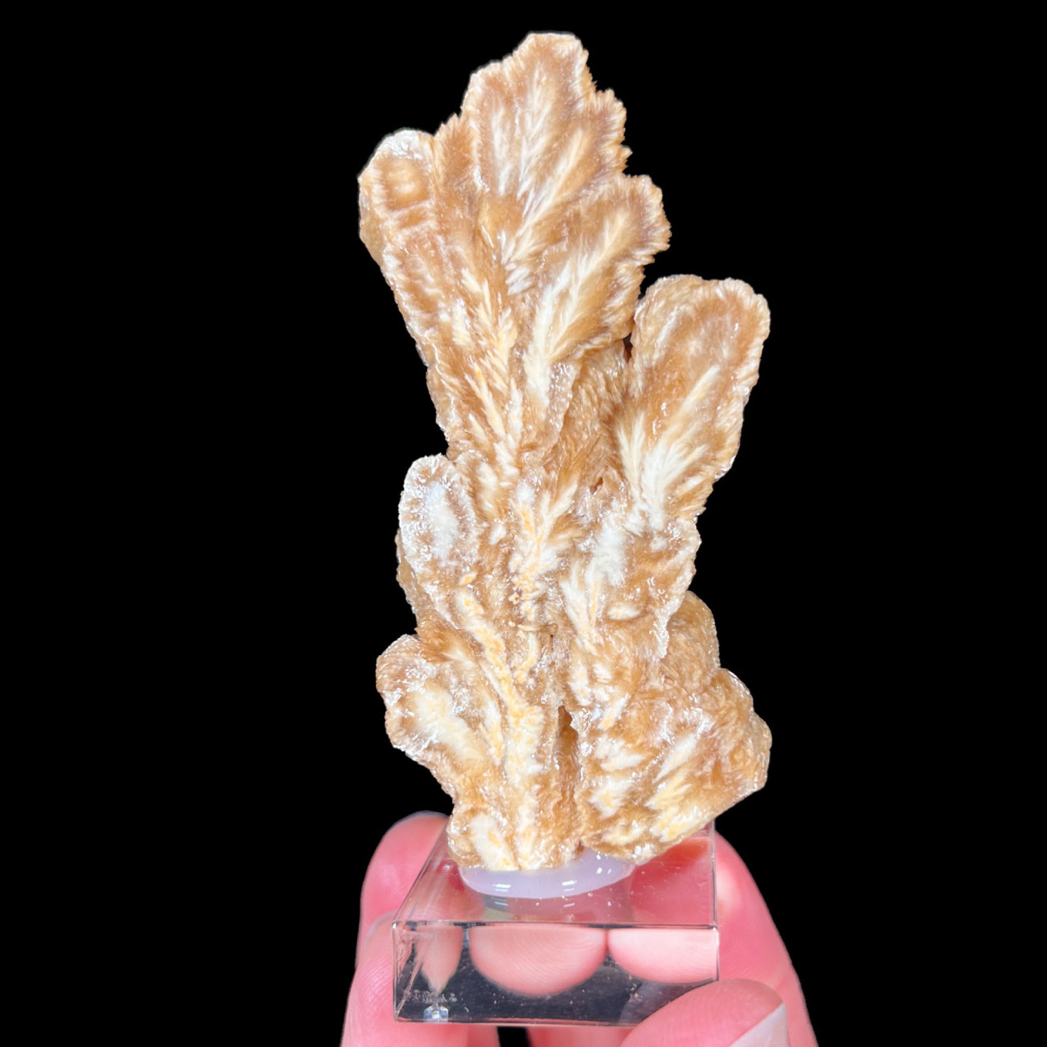 Barite Crystal Cluster Cut and Polished on One Side from Poland