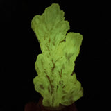 Barite Crystal Cluster displaying phosphorescence under UV flashlight
