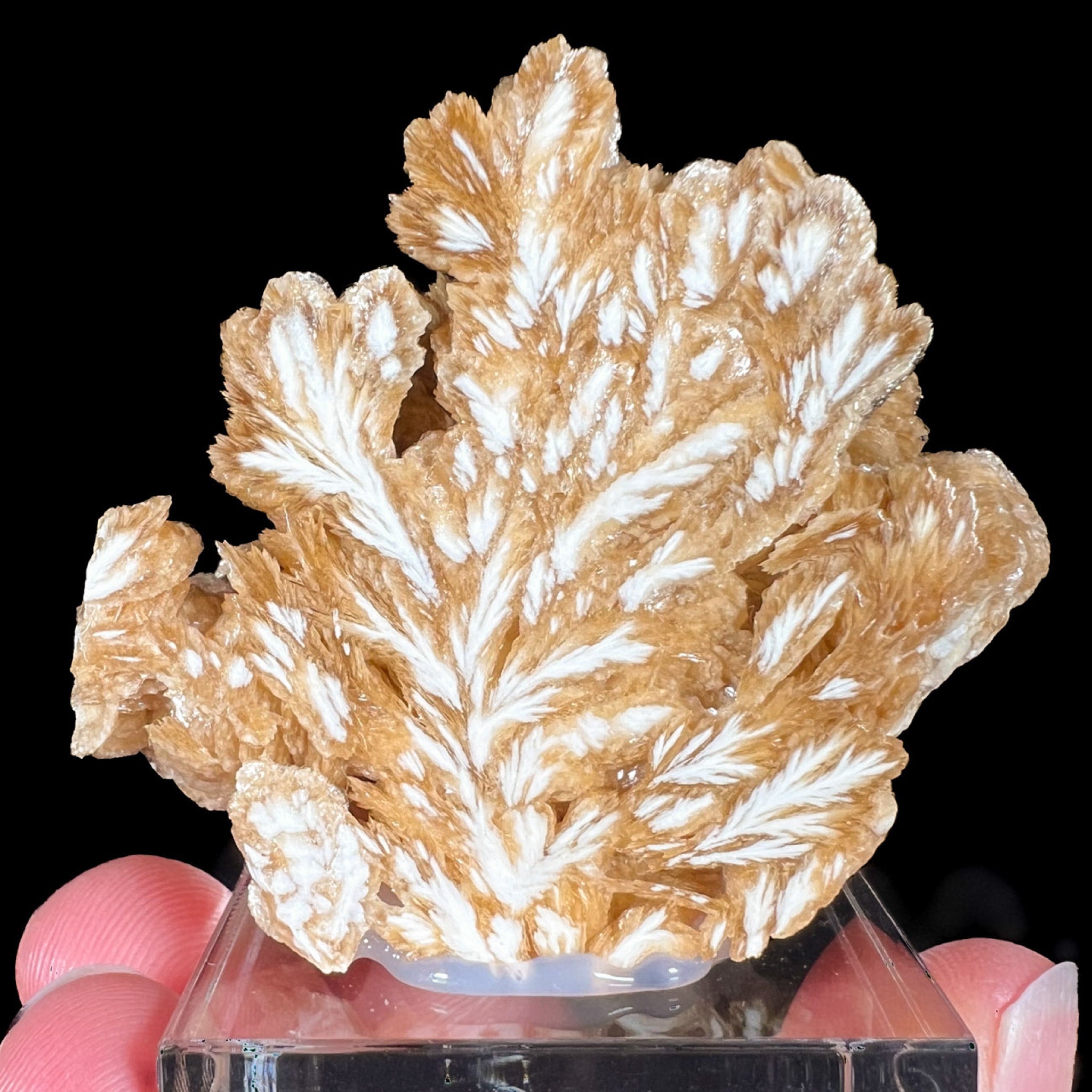 Barite Crystal Cluster from Poland