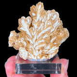 Barite Crystal Cluster from Poland