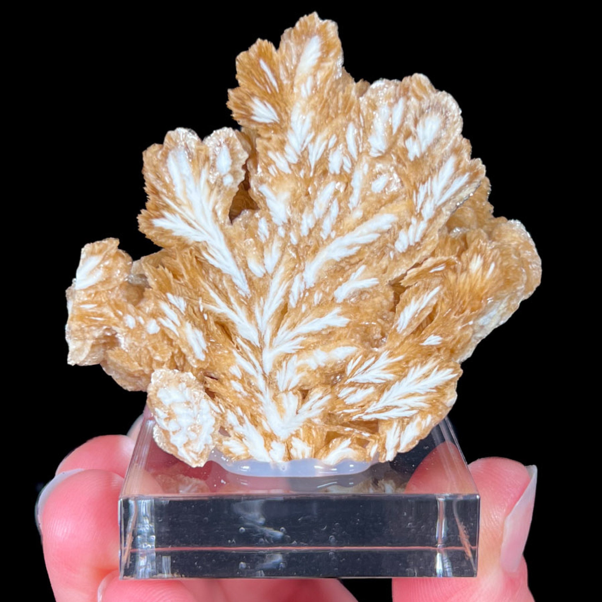 Barite Crystal Cluster from Poland