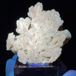 Barite Crystals Displaying Fluorescence under UV Flashlight