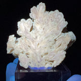 Barite Crystals Displaying Fluorescence under UV Flashlight