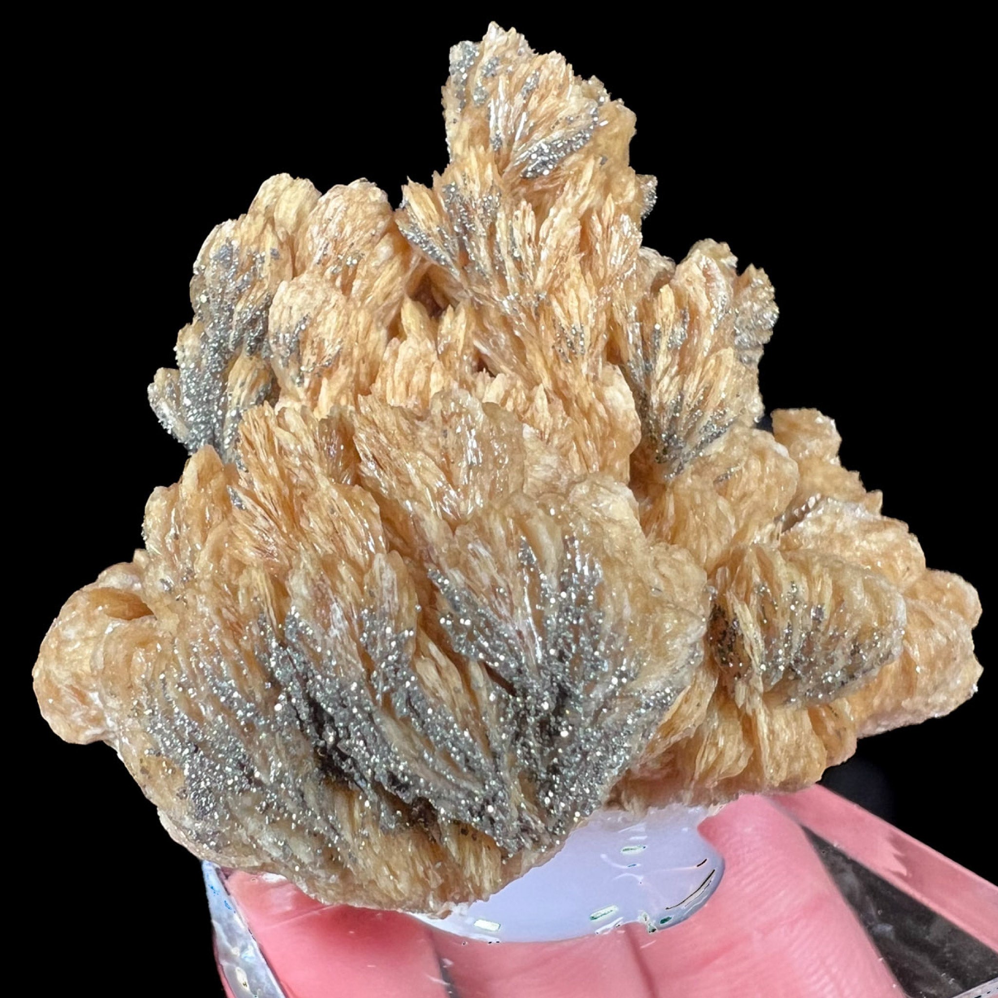 Pyrite and Barite Crystals from Lubin Mine Poland