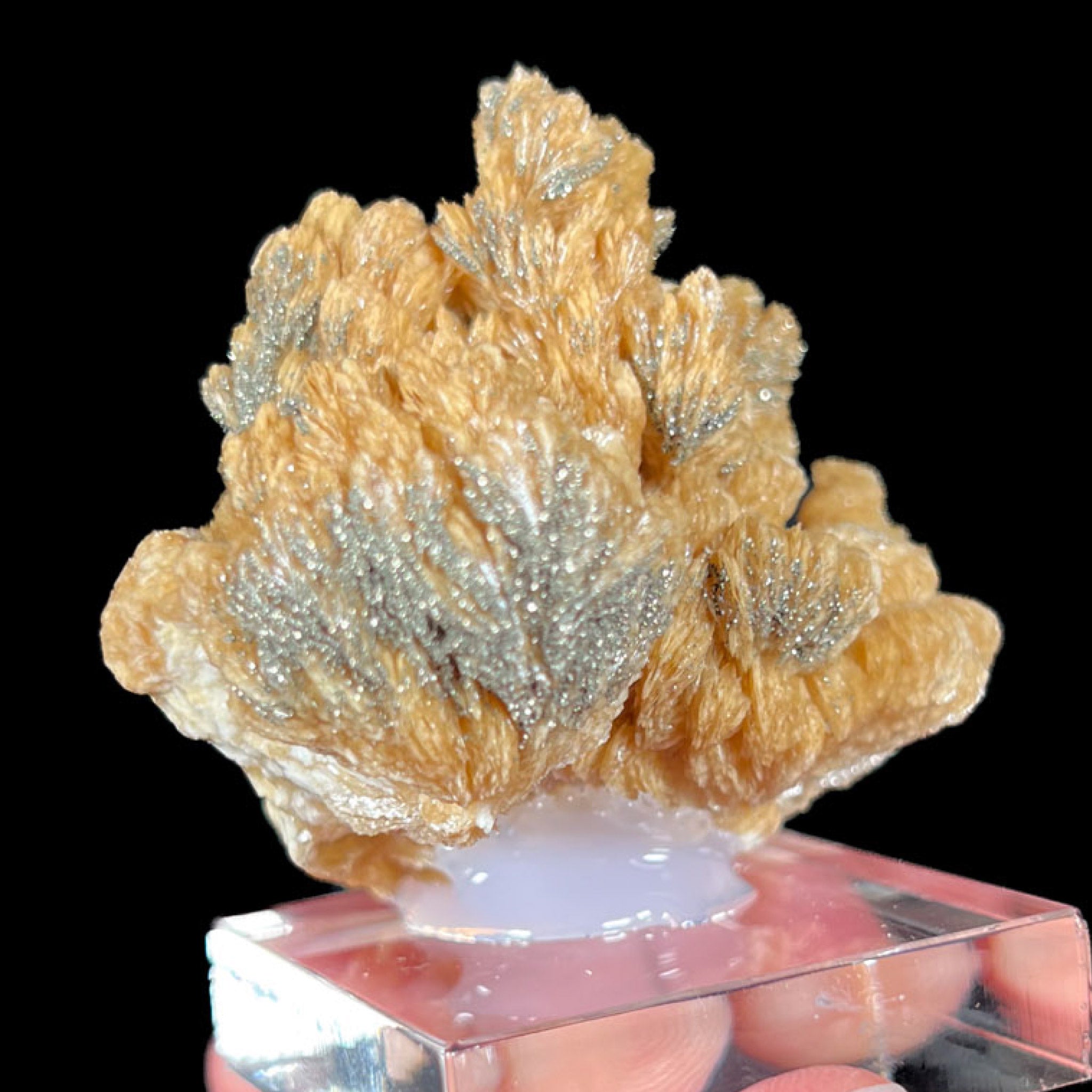 Pyrite Crystals on Barite from Poland