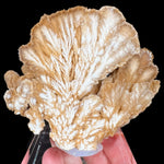 Barite Crystal Cluster Slice from Poland