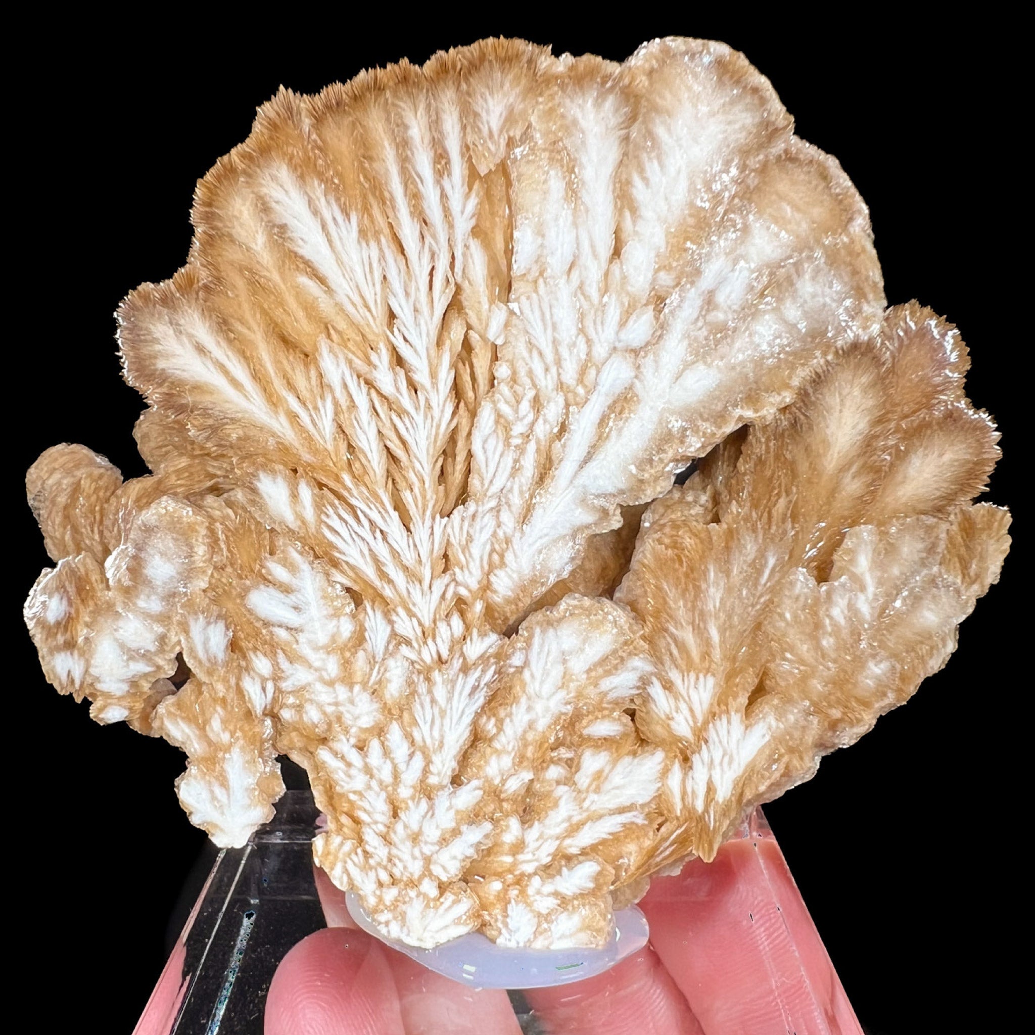 Barite Crystal Cluster Slice from Poland
