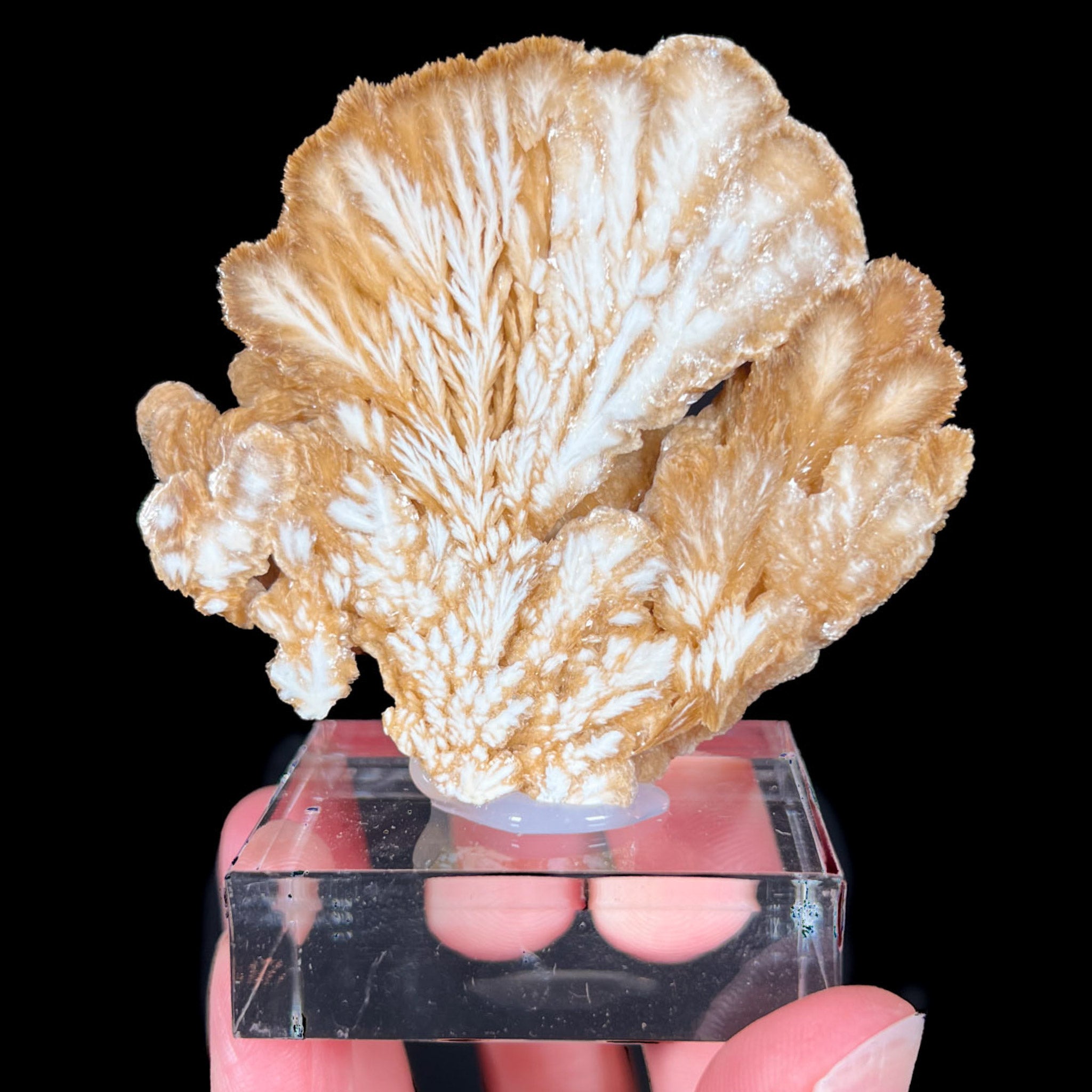Stone Slice of Barite Crystals from Poland