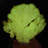 Barite Crystal Cluster displaying phosphorescence under UV flashlight exposure