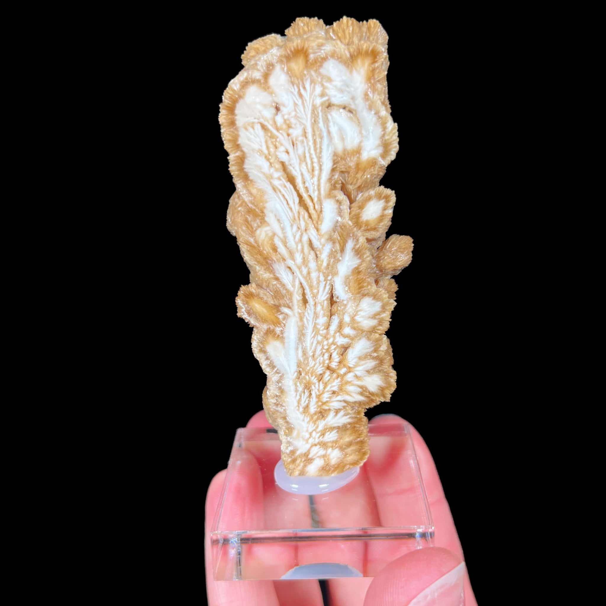Cut and Polished Barite crystal cluster from Poland