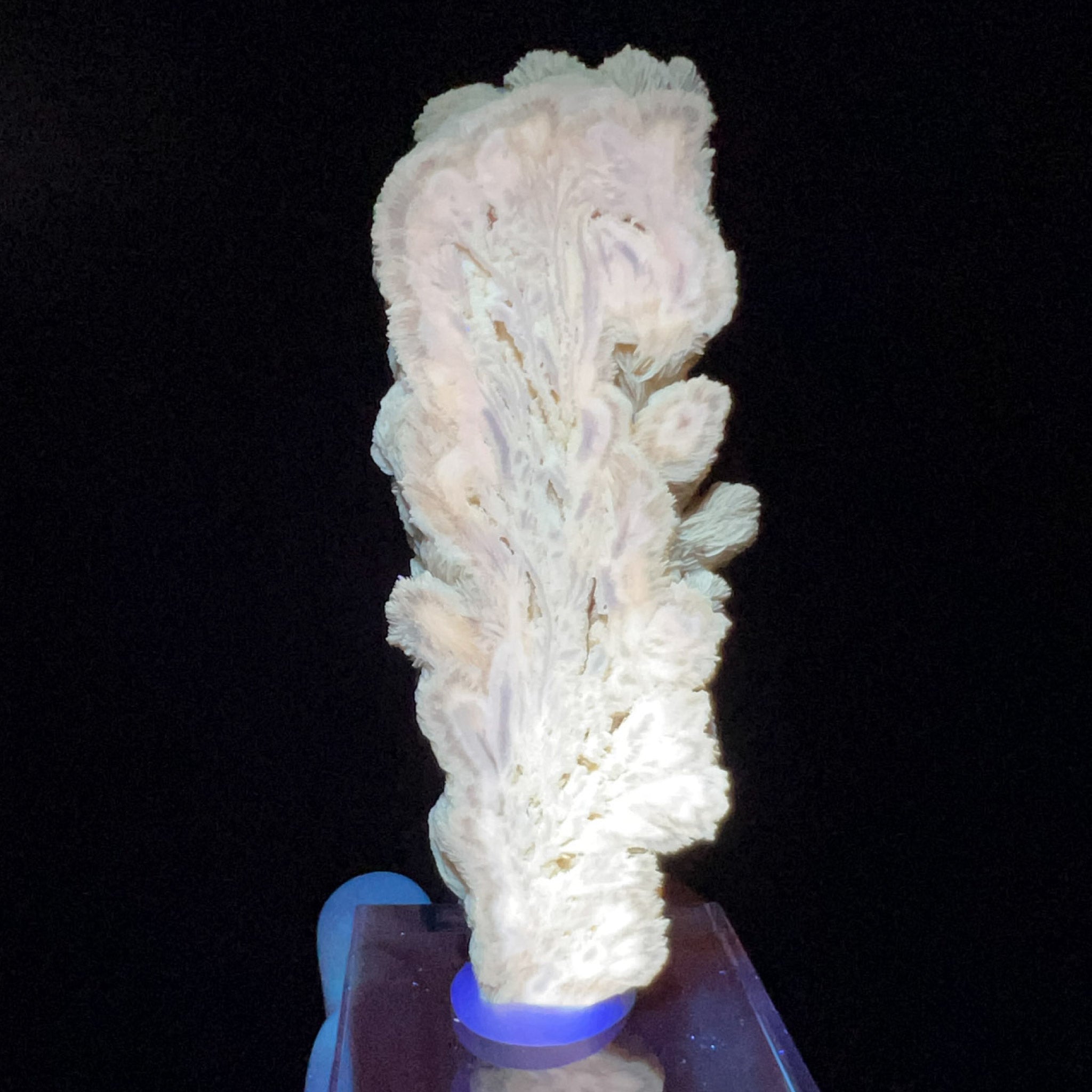 Barite crystal slice displaying fluorescence under UV flashlight
