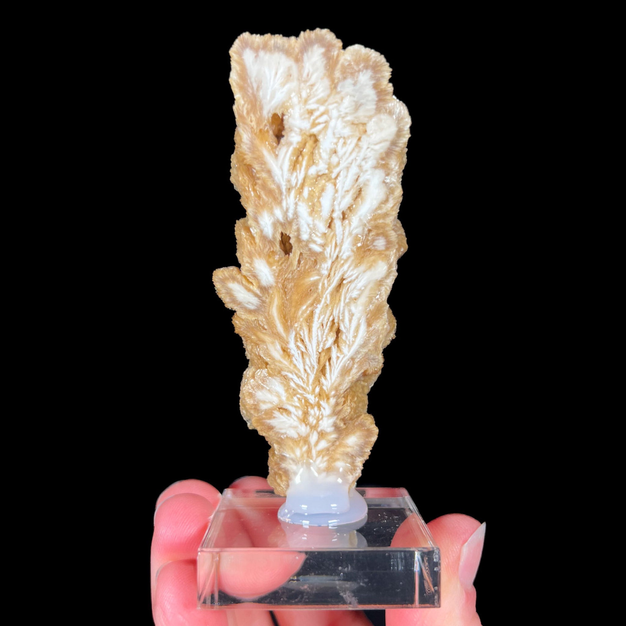 Reverse side of Barite crystal slice from Poland