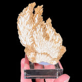 Slice of a Barite Crystal Cluster from Poland