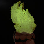 Barite crystal cluster displaying phosphorescence under UV flashlight