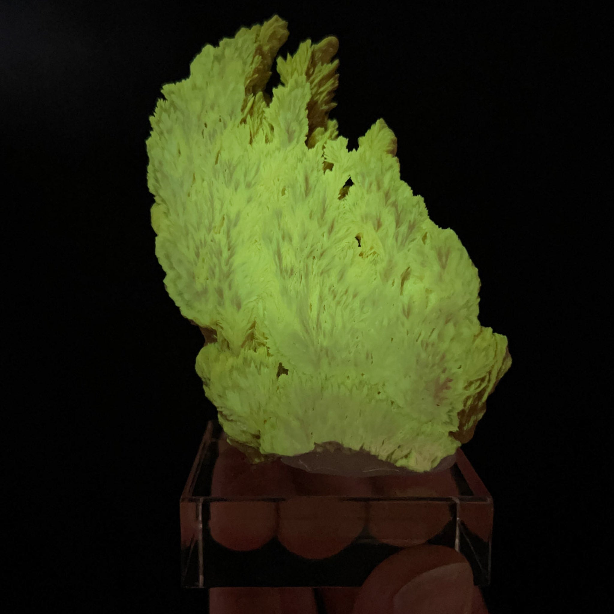 Barite crystal cluster displaying phosphorescence under UV flashlight