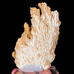 Reverse side of specimen (unpolished) Barite crystals