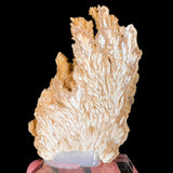 Reverse side of specimen (unpolished) Barite crystals