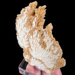 Barite crystals cross sectional slice / slab from Poland