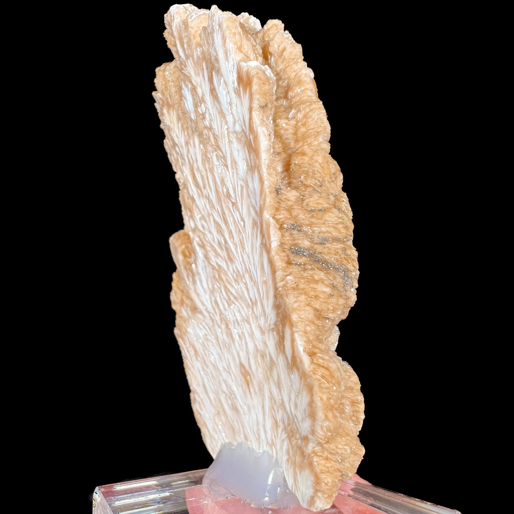 Side view of Barite crystals with Pyrite on top