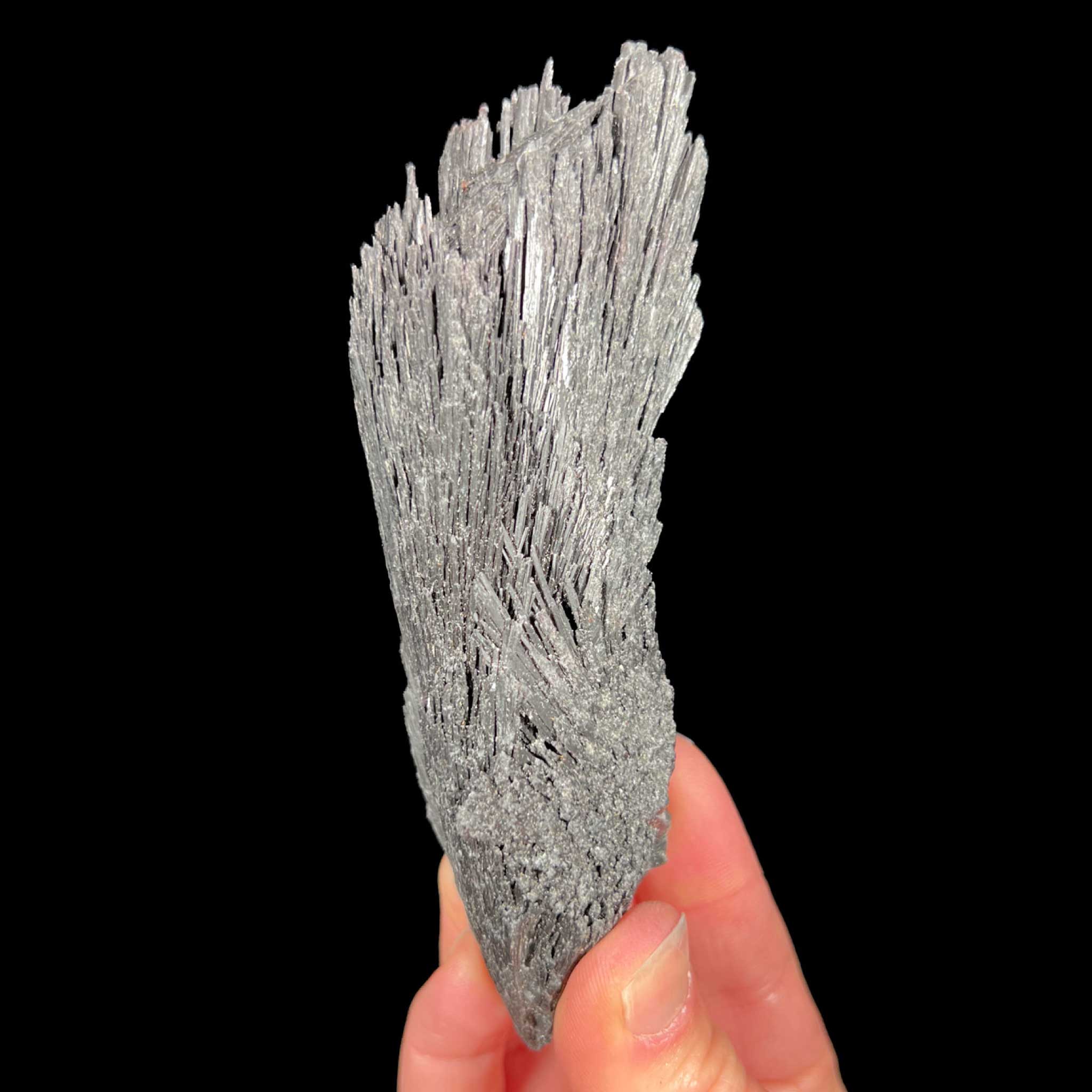 Black Kyanite mineral specimen