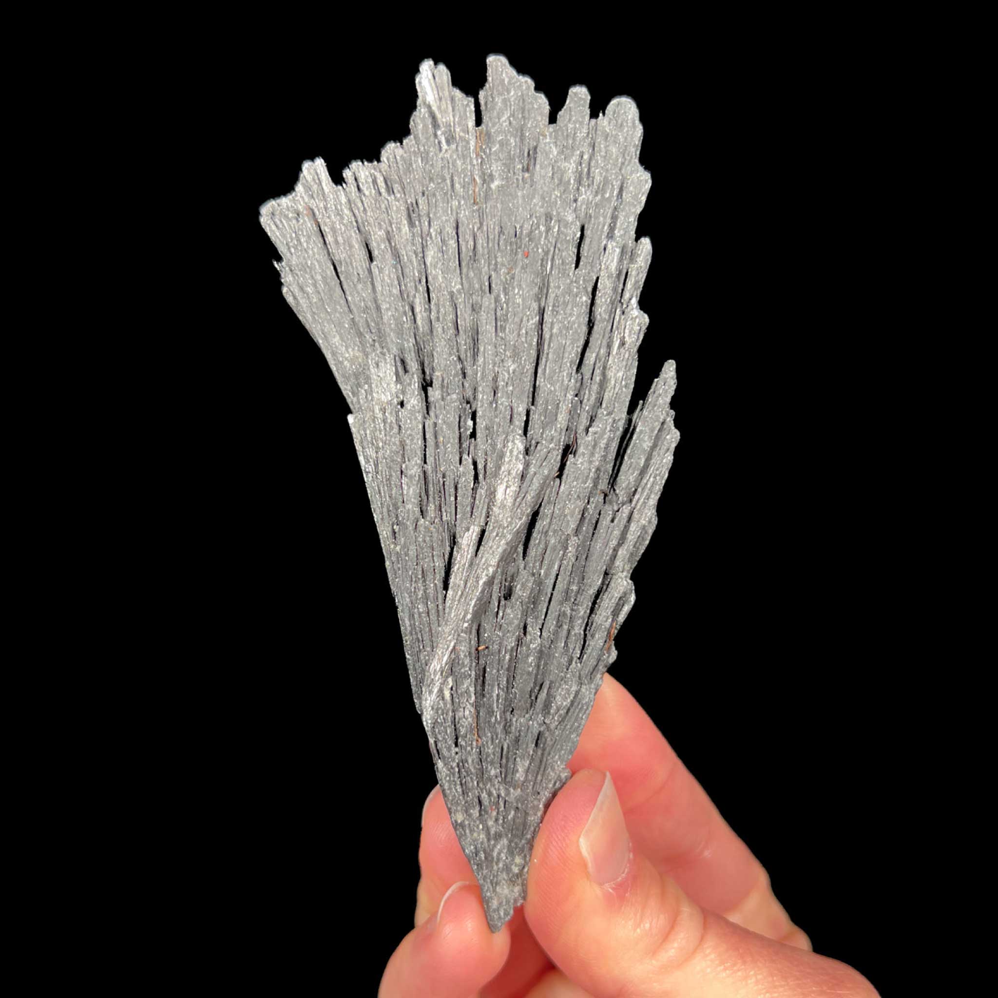 Black Kyanite crystal specimen