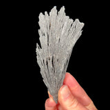 Black Kyanite mineral specimen