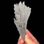 Black Kyanite crystals Brazil