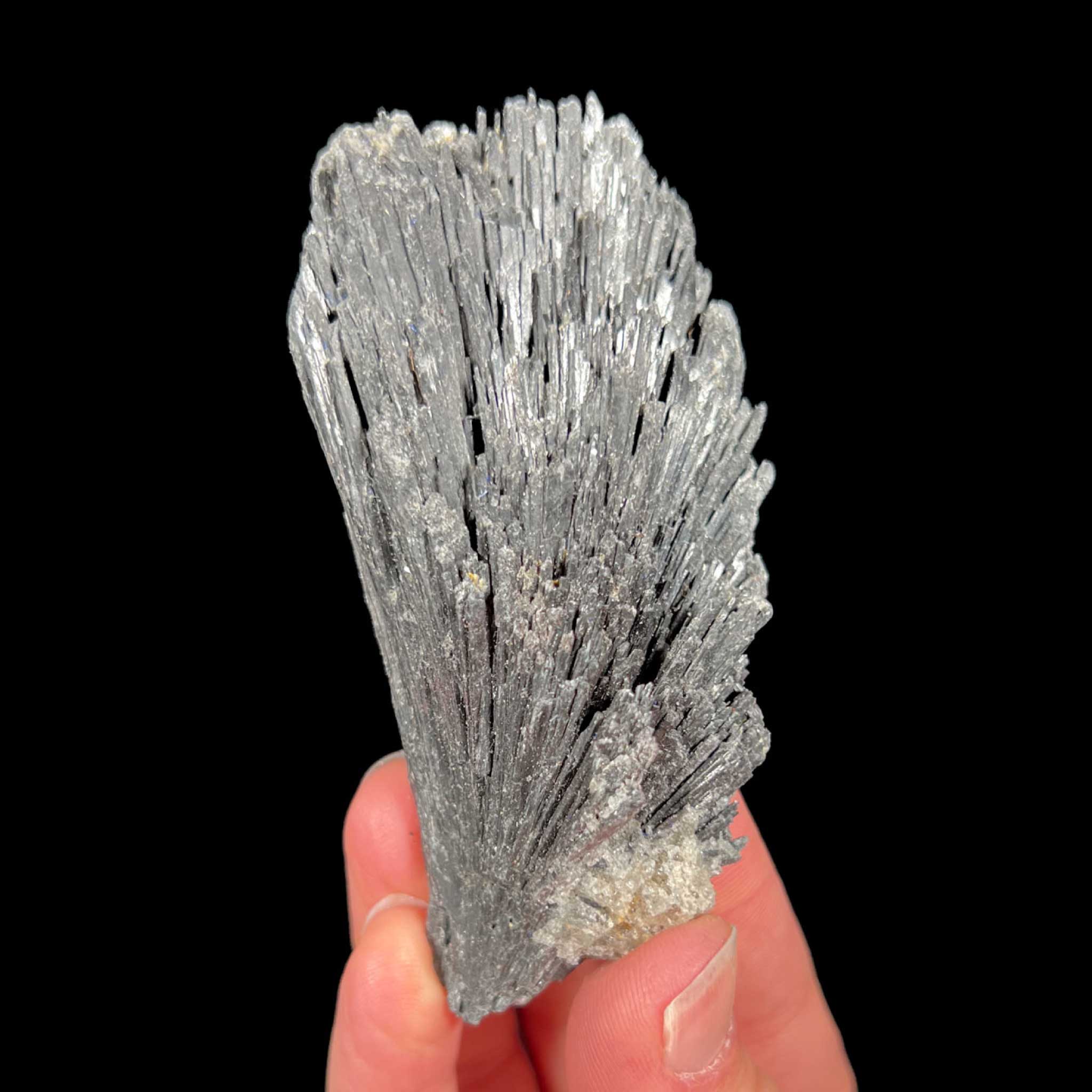 Black Kyanite mineral specimen