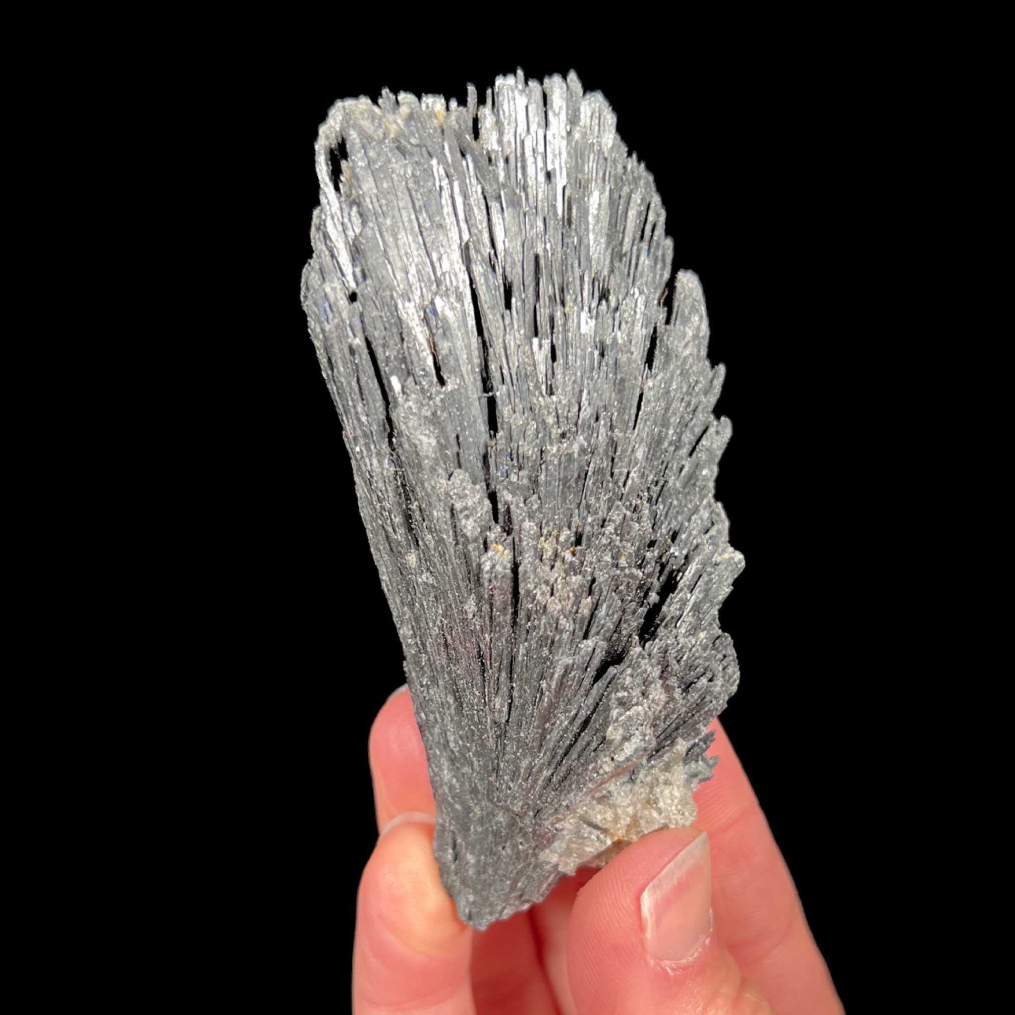 Black Kyanite crystals