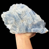 Reverse side of specimen