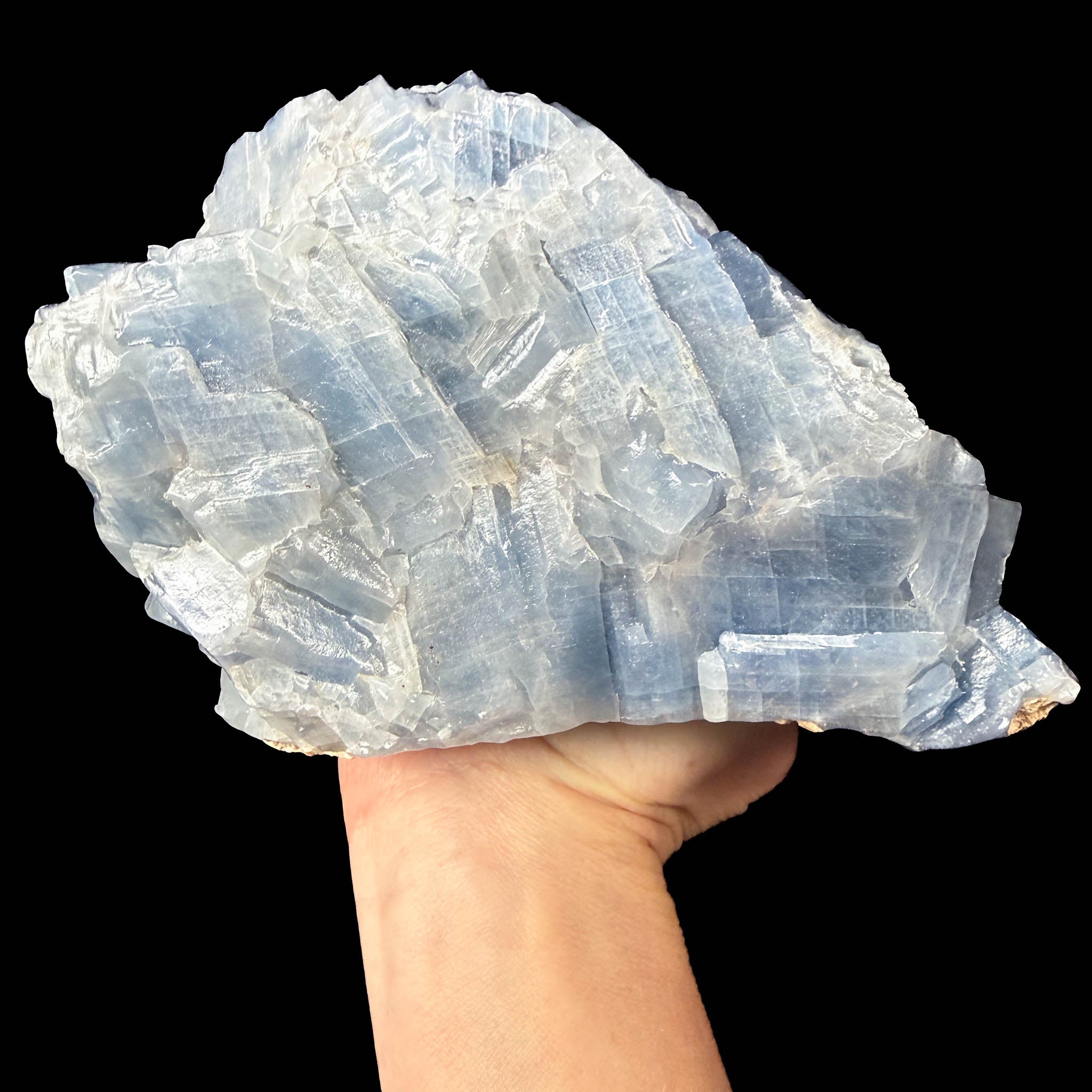 Reverse side of specimen