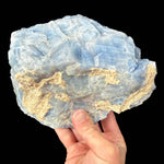 Underside of specimen