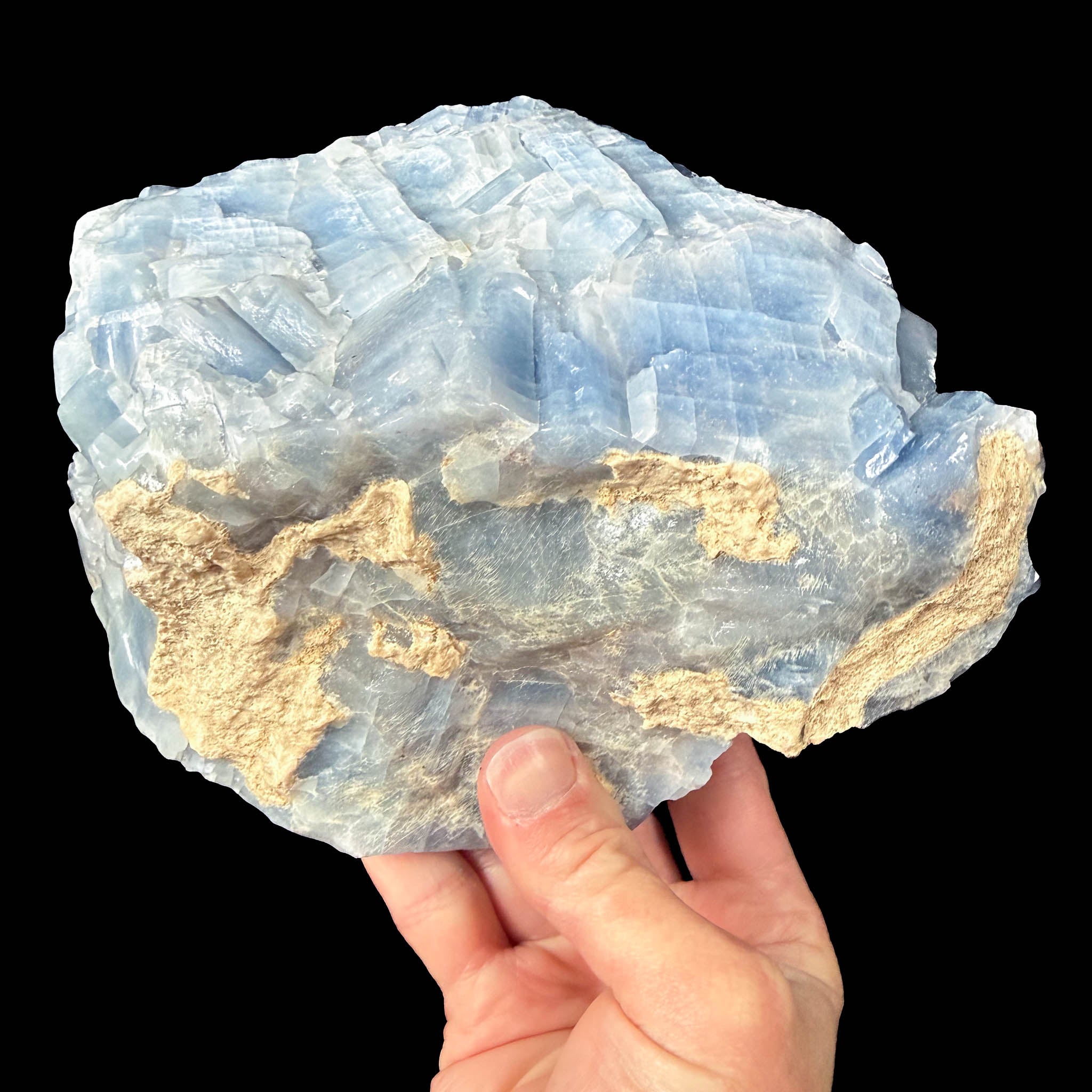Underside of specimen