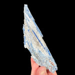 Blue Kyanite crystals in Quartz with Staurolite