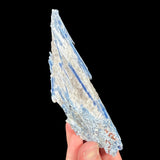 Blue Kyanite crystals in Quartz with Staurolite