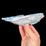 Blue Kyanite with Quartz from Brazil