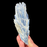 Blue Kyanite crystal blades from Brazil