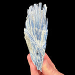 Blue Kyanite crystal blades with Muscovite mica