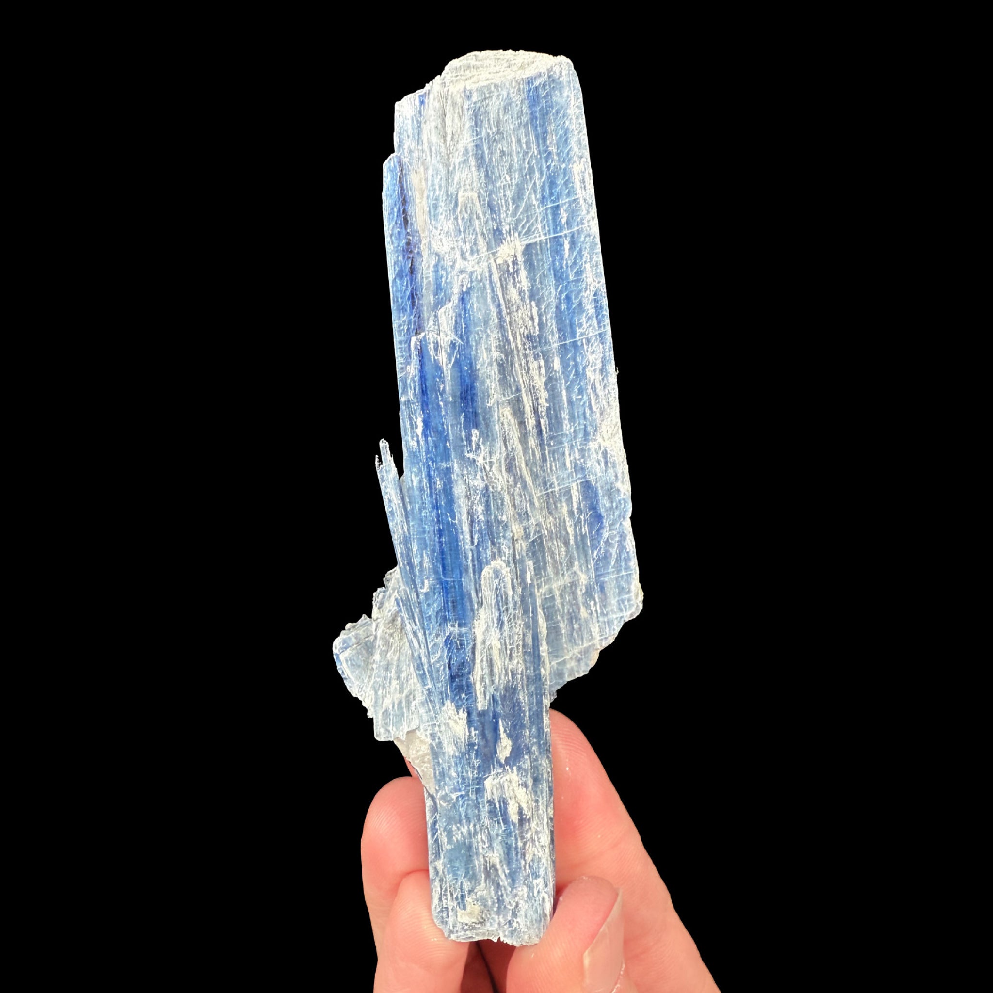 Side view of Blue Kyanite crystals