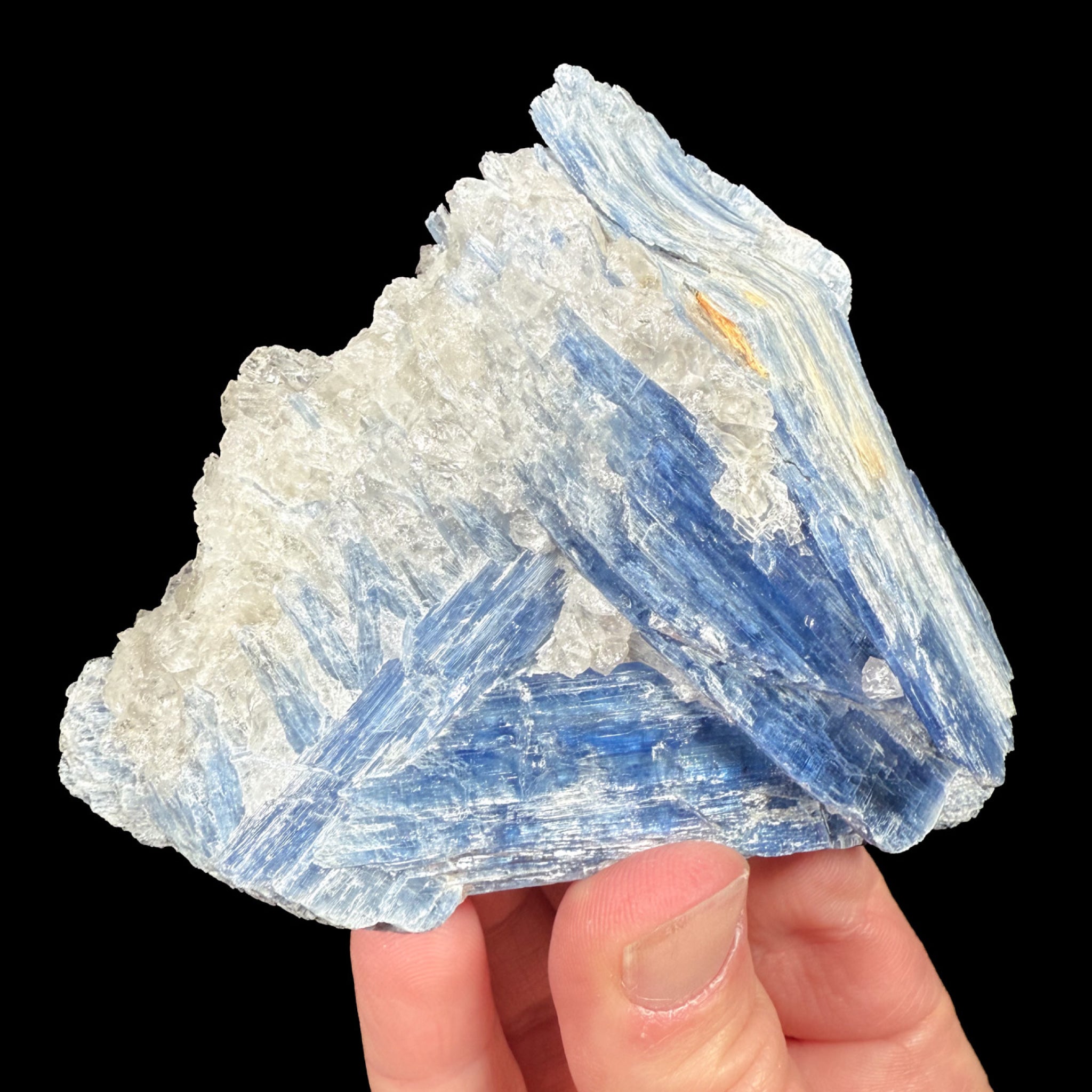 Bended Blue Kyanite crystals mixed with clear Quartz
